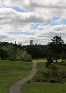Landscape Chastain Park