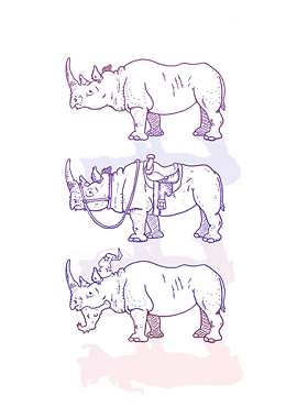 Rhinoceros Journey