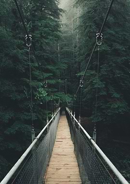 Suspension Bridge Forest
