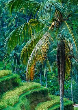 Close Up Of Beautiful Huge