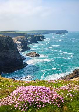 Spring on Cornwalls coast