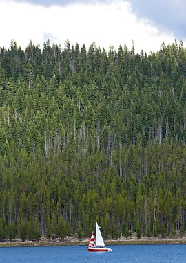 Water Ocean River Pond