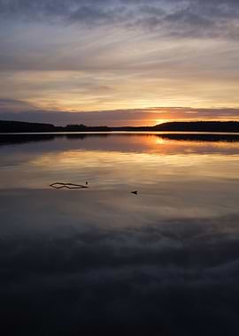 Red Sun Sky Sea Tree Calm