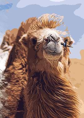 camel is Camel