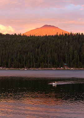 Image Picture Nature Sc