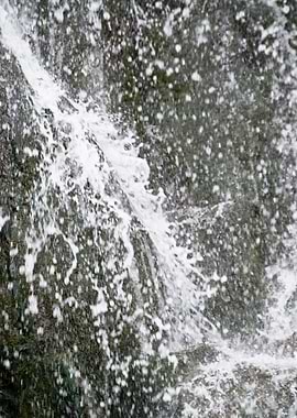 Fall Falls Forest German G