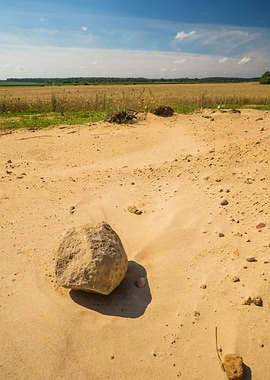 Dry Grass Landscape Nature