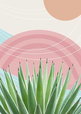 Agave Desert Oasis 2