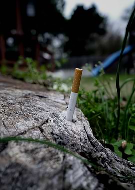Backyard Cig
