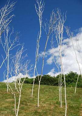 Air Bleach Blue Cloud Clou