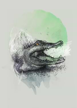 Shouting Crocodile