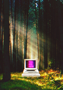 Where You Will Always Be