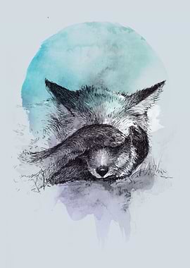 Hiding Fox