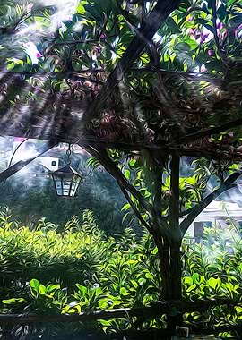 Porch of climbing plants