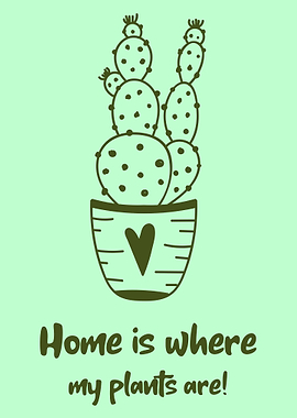 Home is where my plant are