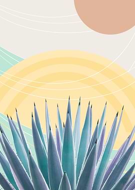 Agave Desert Oasis 3