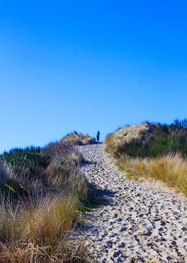 Bay Coast Sea Ocean Ri