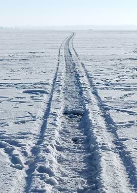 Cold Winter Snow Lake