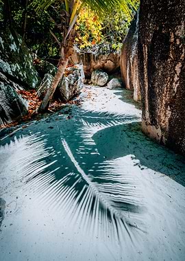 Walking Path Between Big G