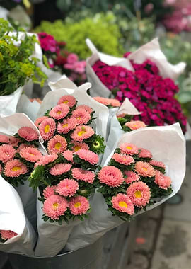 Nature Always Smiles