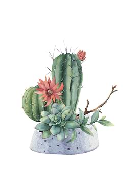 Watercolor Cactus