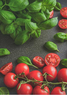 Tomatoes basil