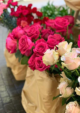 Gardening Is My Life