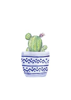 Blue Cactus