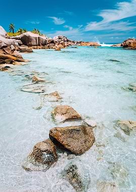 Schallow Clear Turquoise W