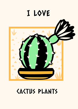 I love cactus plants