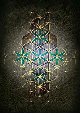 flower of live and hex