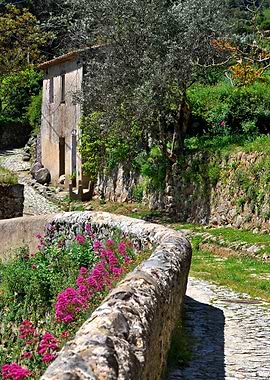 Landscape in Monchique