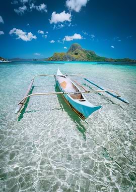 Traditional Filippino Fish