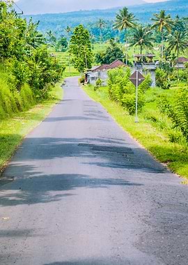 Rural Road In Sediment Dis
