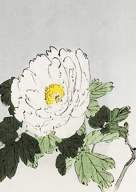 White Flower Traditional