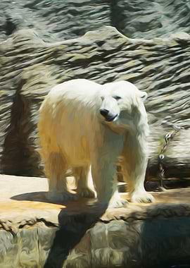 Polar Bear