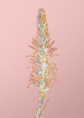 Pink Rainbow Mosaic Flower