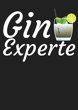 Gin Experte