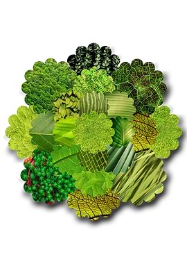 Green nature textures