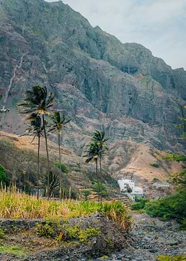 Landscape With Palm Trees