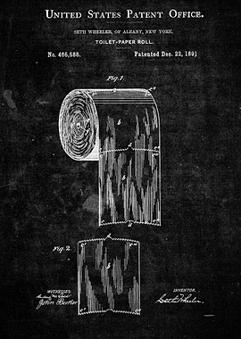 Toilet Paper Patent