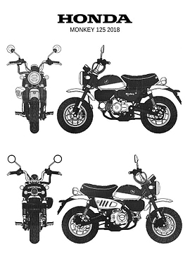 BNW Honda Monkey 125 2018