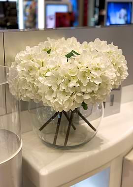 White Bundle Of Flowers