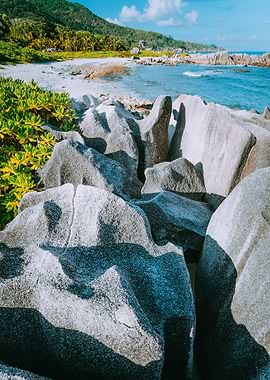 Lovely Tropical Beach With