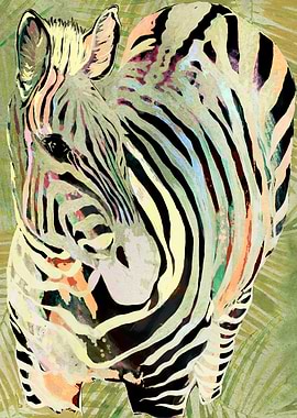 Tropical Zebra