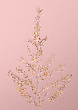 Gold Rainbow Mosaic Flower