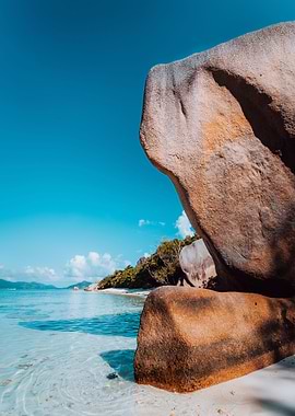 Huge Beautifully Shaped Bi