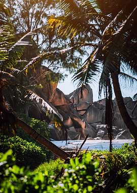 Granite Rocks And Lush Exo