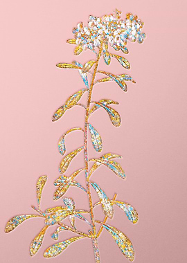 Pink Rainbow Mosaic Flower