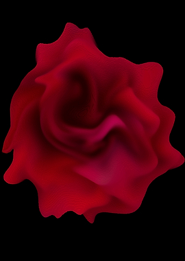 Red rose